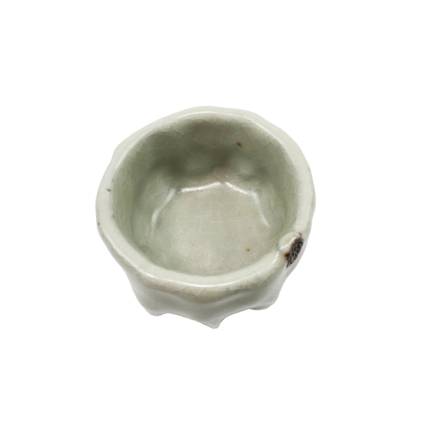 Teacup